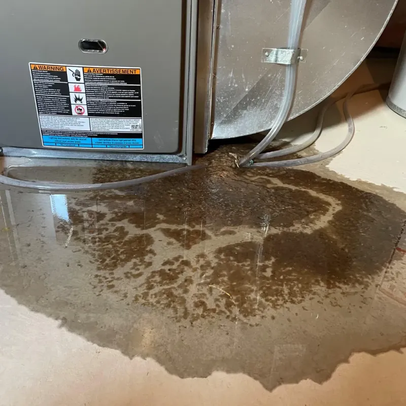 Appliance Leak Cleanup in Temple, NH